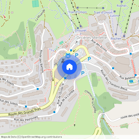 LE VESINET - Merlettes