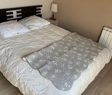 Location Appartement 4 pièces 56m² OLIVET 45160 - Photo 3