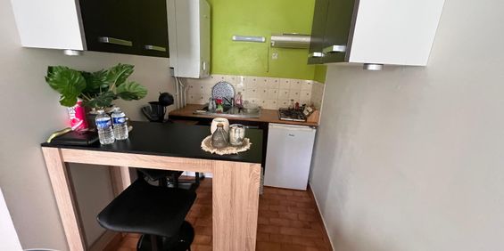 Location Appartement 1 pièce 30m² MONTPELLIER 34090 - Photo 3