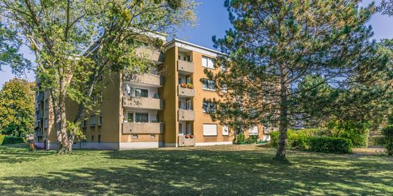 4-Zimmer-Wohnung mit Balkon in Bensheim mieten - Photo 3