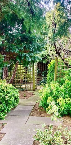 Creek Road - Photo 1