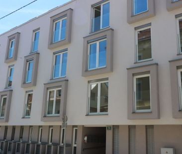 Schöne Wohnung beim Augartenpark - Provisionsfrei! - Foto 1