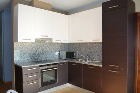 Appartamento in Affitto a Lugano - Photo 4