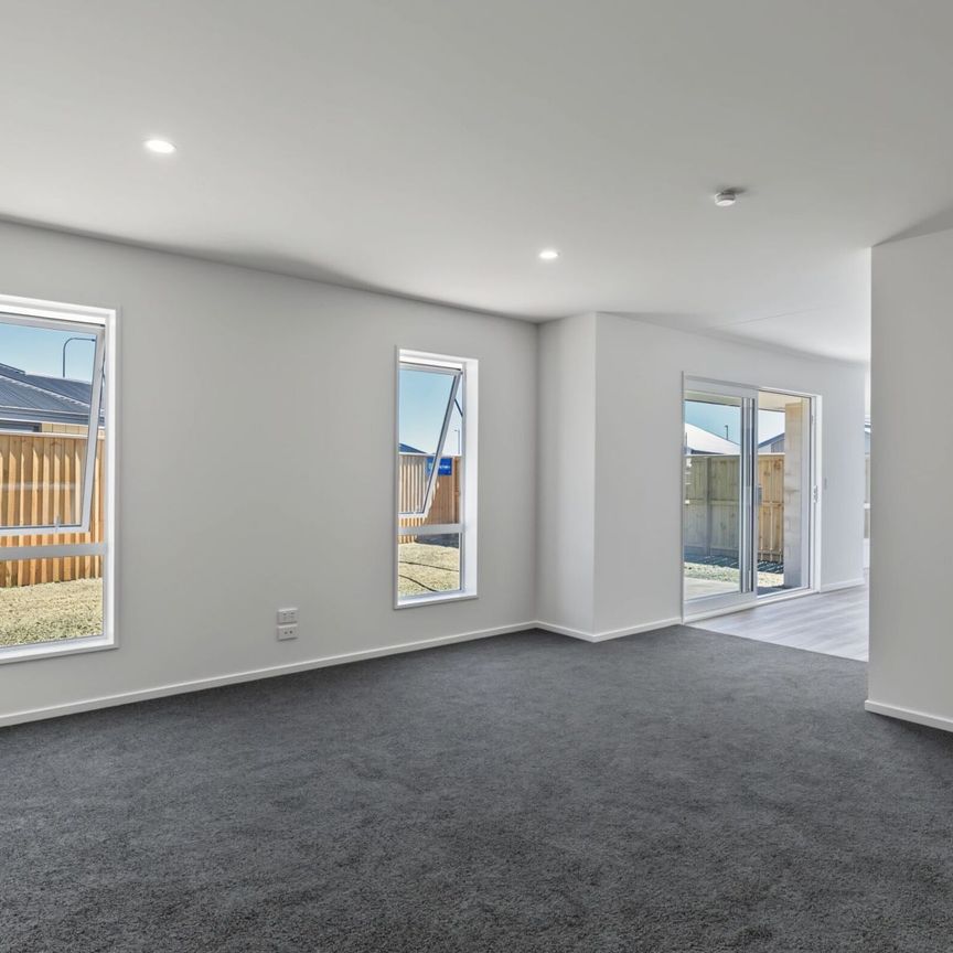 BRAND NEW! A Touch of Luxury in Falcon's Landing - Photo 1