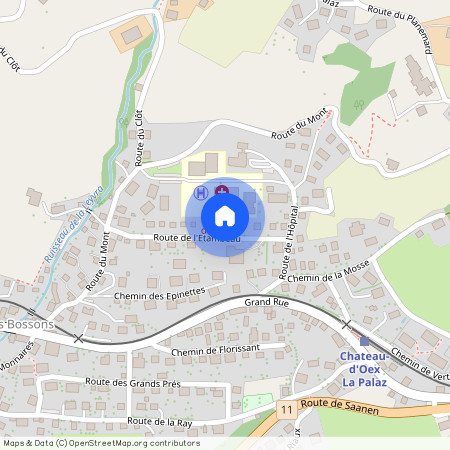 Route de l'Etambeau 15, 1660 Château-d'Oex