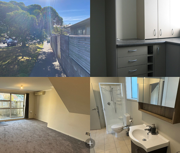 Modern, Sunny One-Bedroom Home, Fully Insulated - Photo 5