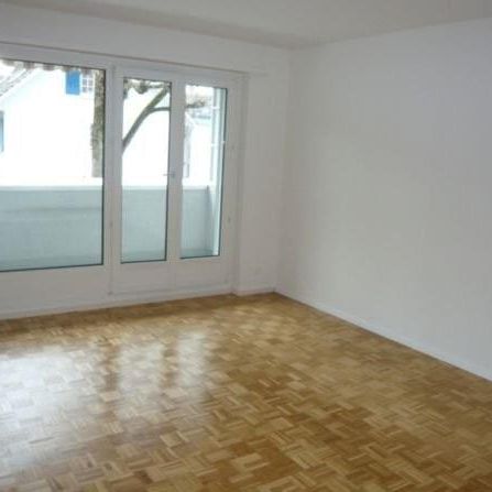 Leben neben der Schüssinsel - Vivre près de l'île de la Suze - Foto 1