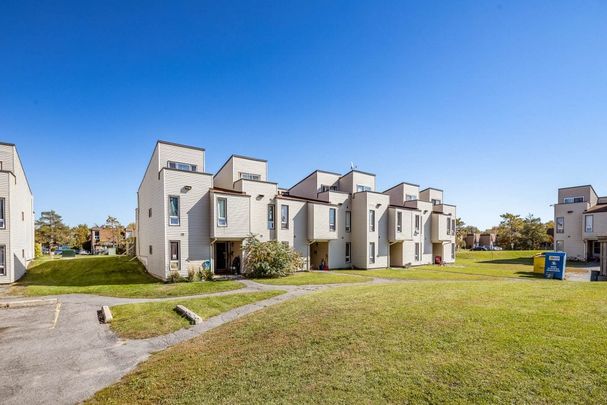 Windsor Park Village - Photo 1