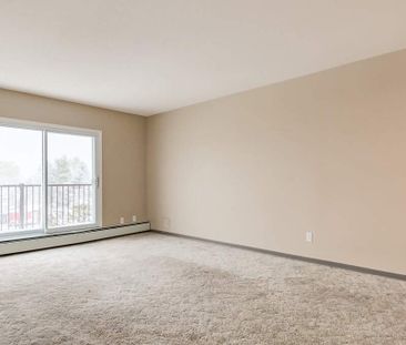 Renovated Suite - 1 Bedroom - Photo 4
