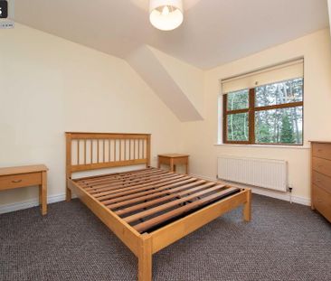 19 Redwood Dale, Redwoods, Dunmurry, Belfast, BT17 9RL - Photo 5