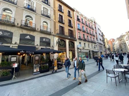 Calle del Carmen, Madrid, Community of Madrid 28013 - Photo 2