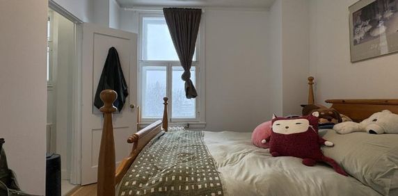 Appartement 3 ½ à louer Montcalm / Saint-Sacrement juillet 2026 - Photo 2