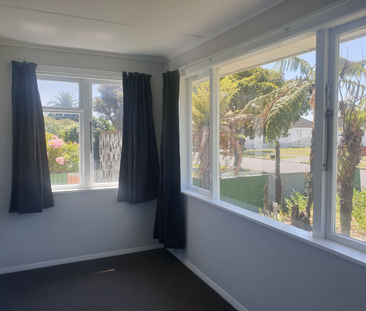 Williams Street , Marewa - Photo 3