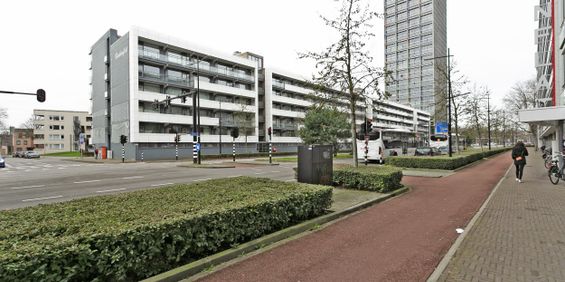 Boksdoornerf, 431 - Foto 3