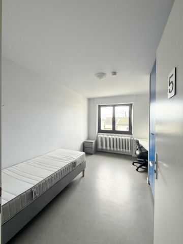 Location Appartement 1 pièce 12m² MITTELHAUSBERGEN 67206 - Photo 5