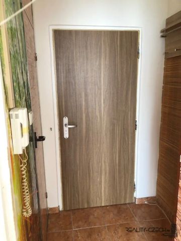 Pronájem, Byty 1+kk, 20 m - Fotografie 3