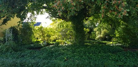 Fartygsgatan, Brantevik - Foto 3