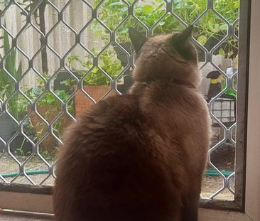 Marrickville - Photo 2