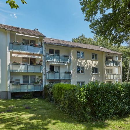 3-Zimmer Wohnung in Werne - Photo 3