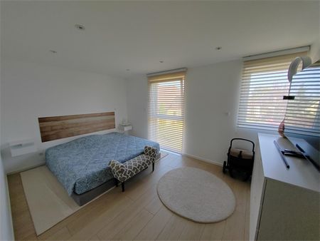 Location Appartement 176.53 M² HEGENHEIM 2 140 € - Photo 4