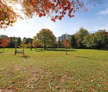 For Lease - 75 Heney Street Unit# 1, Lower Town - Sandy Hill, Ontario - Photo 3