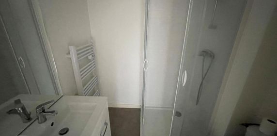 Location Appartement 1 pièce 20m² GRENOBLE 38100 - Photo 2