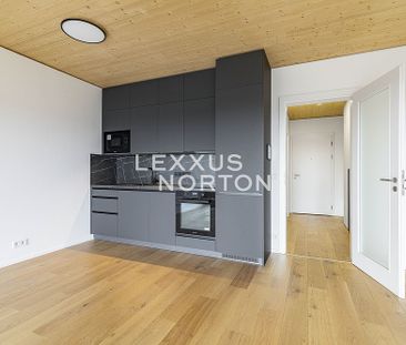 Pronájem bytu 1+kk 41 m² - Fotografie 3