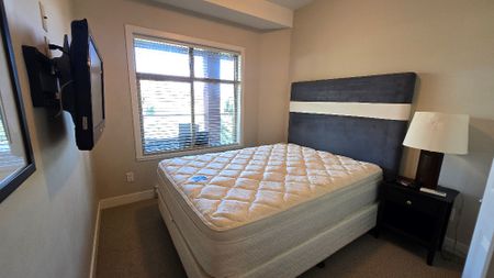 Copper Sky FURNISHED 2 bd, 2 bath condo - Photo 5