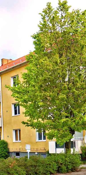 2 RUM KÖK - Photo 2