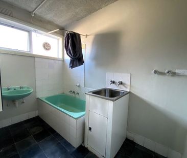 Large Updated Apartment - Photo 1