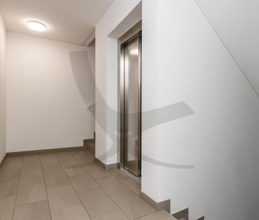 Die Spree vor der Tür - Photo 3