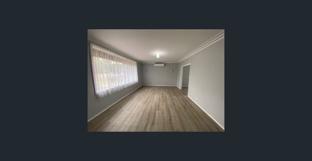 MASSIVE SHED & SOLAR EFFICIENCY - Photo 1