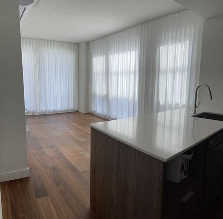 385 Rue St-Martin, app.407, H3J 1W1, Montréal - Photo 2