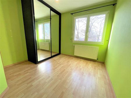 Location Appartement 3 pièces 73m² HAGUENAU 67500 - Photo 4