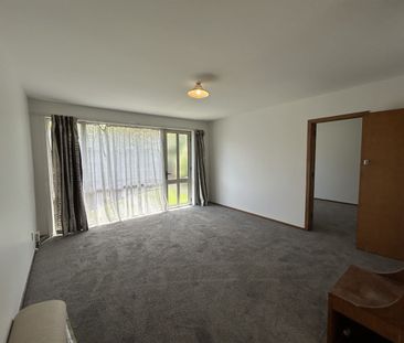 Newly Renovated Richmond Unit. - Photo 6