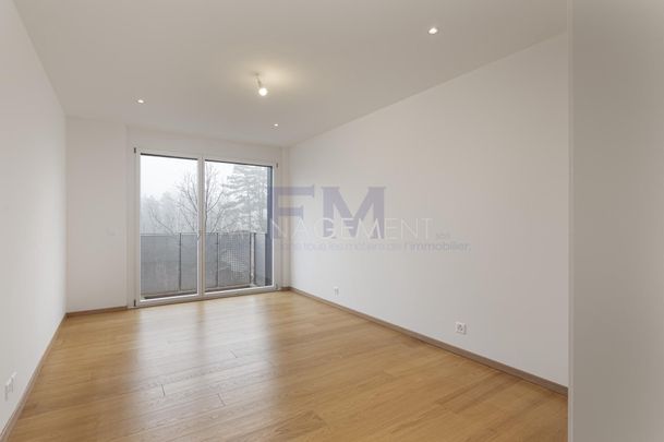 Ch. du Velours, 9-room apartment on the 3rd floor - Photo 1