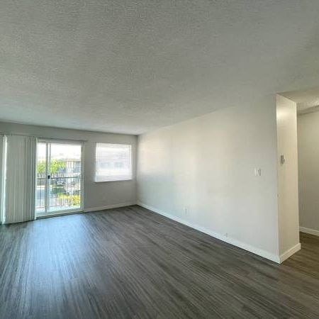 Spacious 2-Bedroom Apartment in Maple Ridge - Photo 1