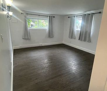 1 bed, 1 bath basement – Burne Ave - Photo 1