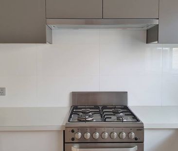 40A Palm Ave, Royal Park - Photo 6