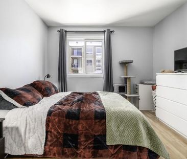 Appartement 3 ½ à louer juillet 2026 - Photo 3