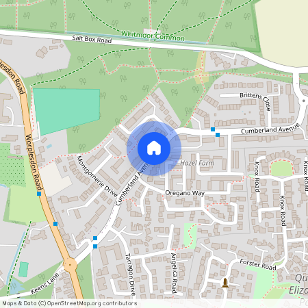 Cumberland Avenue, Guildford, Surrey, GU2