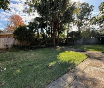 Sunny Quiet Renovated 3-bedroom Home in a Prime Location! - Photo 3