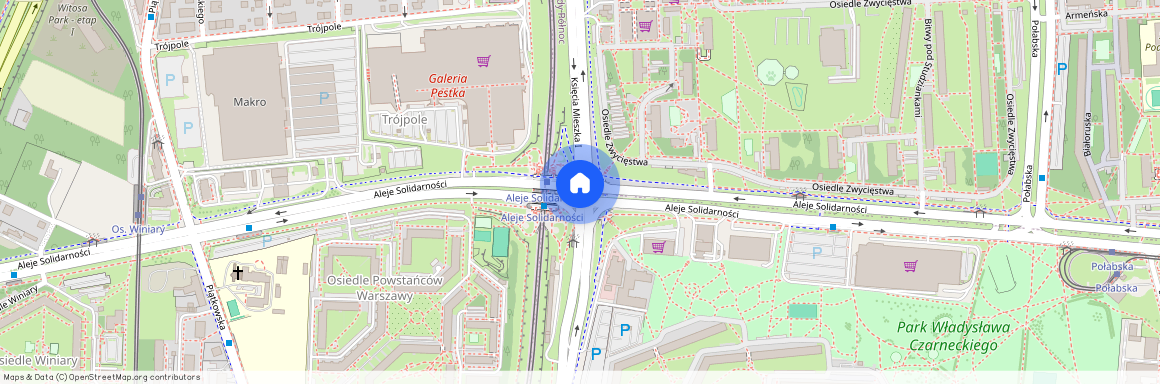 Poznań Winogrady, Księcia Mieszka I