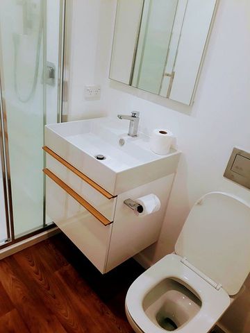 Charming 2-Bed Home in Aro Valley - Photo 4