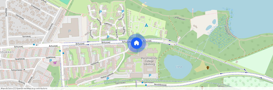 Hjejlevej 50, Silkeborg