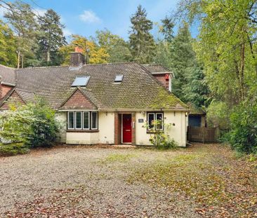 3 bedroom semi-detached house to rent - Photo 6