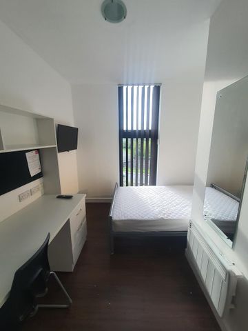 Studio to rent - Photo 4