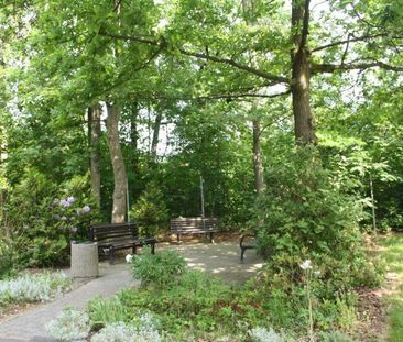 Altersgerechte 1 Raumwohnung mit Fahrstuhl und Balkon - Foto 1