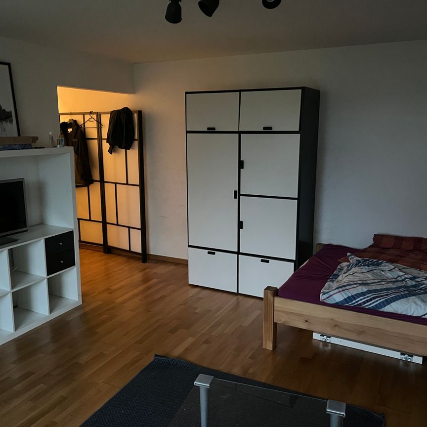 Locataires subséquents pour de beaux volumes 1.5 À la recherche d'une chambre à Höngg. - Photo 1