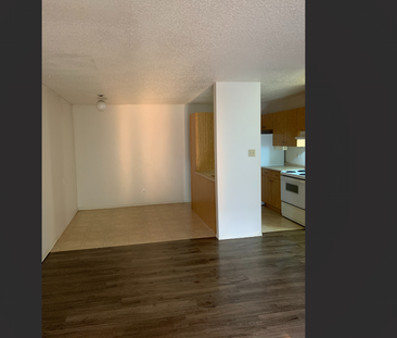 Large 2 Bedroom Suite in Meadowgreen - Photo 4